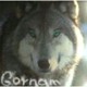carloo_2