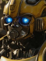 Bumblebee10