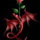 roberta_xd11_1998_1193
