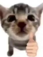 maybevs
