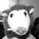 bridget88