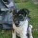 tomek00j