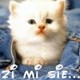 madzia_m85