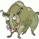 susscrofa107