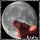 Lulu_4