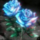 miyu_eve