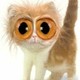 tomek73P