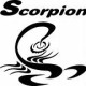 scorpion10