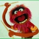 Bimber