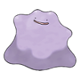 kwiatostan_
