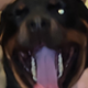 HoTii