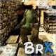 BrX19