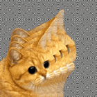 Foxylis
