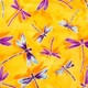 Dragonfly_9