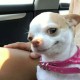 katikson