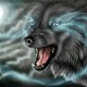Nymeria_88