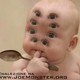 rafejkes_2