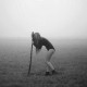 merenvensnufkin