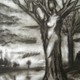 Magnolia_9