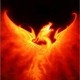 dragon88