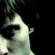dotzent_2