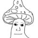 Muchy_fw