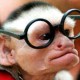 MrMateusz09