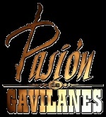 gavilanes