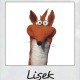 liseksv