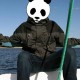 pandatopandatamto