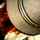 rose_sophia