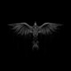 Raven_VXV