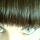 dullgirl