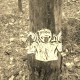 LinX_2
