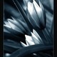 Lemonic_2
