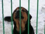 sonia_1