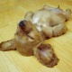 solly_souk