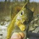 Squirrel1986