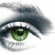 syska_1311