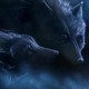 blue_wolfy