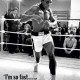 Cassius_Clay