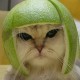 Kapitan_Limonka