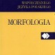 gramatyka_opisowa