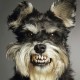 Tomek0886