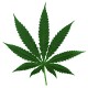 joint05