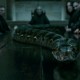Nagini222