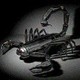 Virus_00