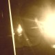 ForestDNB