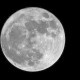 Luna999