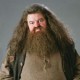 Rubeus_Hagrid
